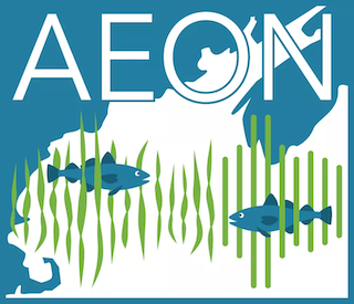 AEON project logo